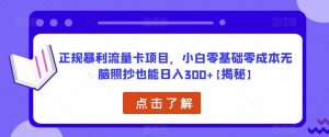 正规暴利流量卡项目,小白零基础零成本无脑照抄也能日入300+【揭秘】-稀缺资源库
