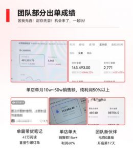 2023小红书电商火爆全网，新晋红利，风口项目，单店收益在3000-30000！-稀缺资源库