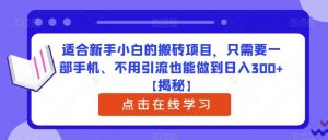 适合新手小白的搬砖项目，只需要一部手机、不用引流也能做到日入300+【揭秘】-稀缺资源库