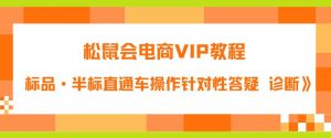 松鼠会电商VIP教程：松鼠《付费推广标品·半标直通车操作针对性答疑&诊断》-稀缺资源库