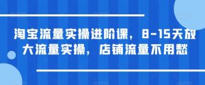 淘宝流量实操进阶课，8-15天放大流量实操，店铺流量不用愁-稀缺资源库