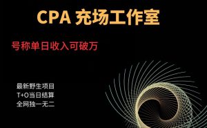 cpa充场工作室，号称单日收入10000+（揭秘）-稀缺资源库