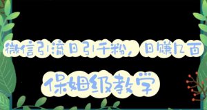 微信互推圈半自动引流方案,矩阵操作日引千人思路【详细视频教程】-稀缺资源库