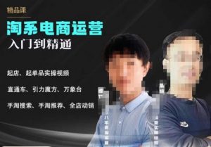 2023手淘搜索实操课+体系化课程,起店起单品实操视频课程-稀缺资源库