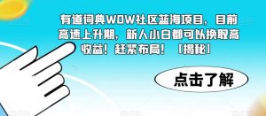 有道词典WOW社区蓝海项目，目前高速上升期，新人小白都可以换取高收益！赶紧布局！【揭秘】-稀缺资源库