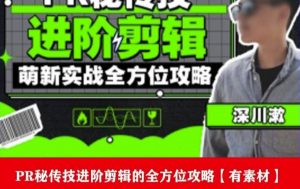 PR进阶剪辑培训班，让你快速成为剪辑大师12节视频课程+素材！-稀缺资源库