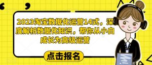 2023淘宝数据化运营14式,深度解析数据化知识,帮你从小白成长为高级运营-稀缺资源库
