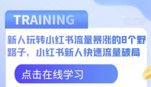 新人玩转小红书流量暴涨的8个野路子,小红书新人快速流量破局-稀缺资源库