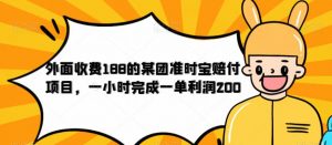 外面收费188的美团准时宝赔付项目，一小时完成一单利润200【仅揭秘】-稀缺资源库