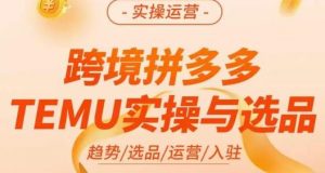 伍跃·跨境拼多多TEMU实操与选品,趋势/选品/运营/入住(27节完整)-稀缺资源库
