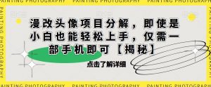 漫改头像项目分解，即使是小白也能轻松上手，仅需一部手机即可【揭秘】-稀缺资源库