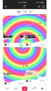 冷门高利润项目，小红书带货，无脑搬运，一部手机实现日入500+【揭秘】-稀缺资源库