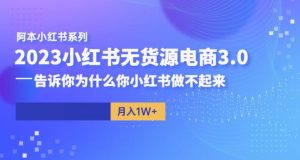 阿本小红书无货源电商3.0,告诉你为什么你小红书做不起来-稀缺资源库