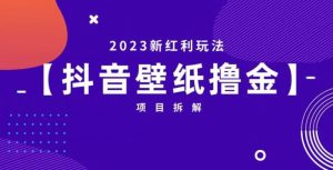 抖音壁纸小程序创作者撸金项目，2023新红利玩法【项目拆解】-稀缺资源库