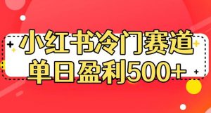 小红书冷门赛道，单日盈利500+【揭秘】-稀缺资源库