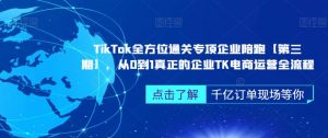 TikTok全方位通关专项企业陪跑【第三期】,从0到1真正的企业TK电商运营全流程-稀缺资源库