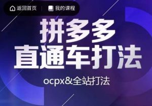 互力·拼多多直通车打法，ocpx&全站打法-稀缺资源库