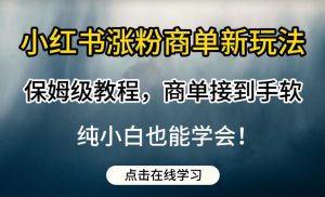 小红书涨粉商单新玩法,保姆级教程,商单接到手软,纯小白也能学会【揭秘】-稀缺资源库