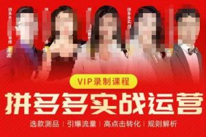 2023推易拼多多实战运营，选款测品、引爆流量、高点击转化、规则解析-稀缺资源库