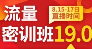 秋秋线上流量密训班19.0,打通流量关卡,线上也能实战流量破局-稀缺资源库
