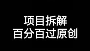 项目拆解赛道百分百过原创【揭秘】-稀缺资源库
