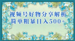 视频号好物分享解析，简单粗暴可以批量方大的项目【揭秘】-稀缺资源库