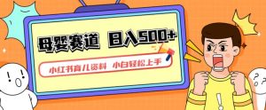 小红书育儿资料,一部手机可操作,多种变现方式,日入500+,私域变现,长期可持续项目【揭秘】-稀缺资源库