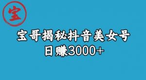 宝哥揭秘抖音美女号玩法,日赚3000+【揭秘】-稀缺资源库