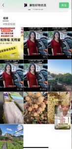 外面收费198的最新视频号连怼技术，条条原创，条条爆单【揭秘】-稀缺资源库