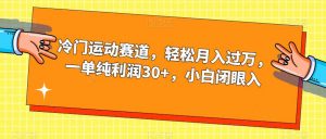 冷门运动赛道，轻松月入过万，一单纯利润30+，小白闭眼入【揭秘】-稀缺资源库