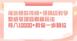 海外爆款视频+保姆级教学，壁纸号项目最新玩法，月入10000+教你一步到位【揭秘】-稀缺资源库