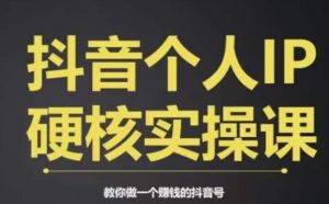 个人IP创富系统实战课,商业定位,流量打造,短视频变现,教你做个赚钱的抖音号-稀缺资源库