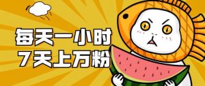 暴力涨粉项目:每天一小时,七天上万粉【揭秘】-稀缺资源库