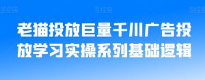老猫投放巨量千川广告投放学习实操系列基础逻辑-稀缺资源库