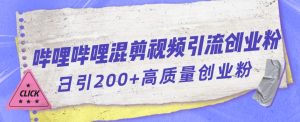 哔哩哔哩B站混剪视频引流创业粉日引300+-稀缺资源库
