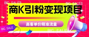 商K引粉变现项目，高客单价精准流量【揭秘】-稀缺资源库