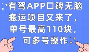 有驾APP口碑无脑搬运项目又来了，单号最高110块，可多号操作-稀缺资源库