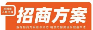 王昕招商方案,解构招商方案意识形态,精准把握渠道代理基本法-稀缺资源库