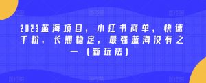 2023蓝海项目,小红书商单,快速千粉,长期稳定,最强蓝海没有之一(新玩法)-稀缺资源库