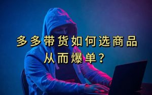 多多视频带货选什么商品链接才能爆单，10分钟教会你，爆单不是浮云【揭秘】-稀缺资源库