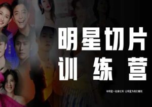 王子·明星切片线上训练营（2023），和明星一起拿红利，让明星为我们赚钱-稀缺资源库