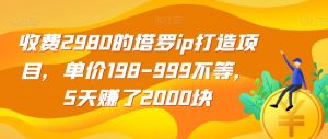 收费2980的塔罗ip打造项目，单价198-999不等，5天赚了2000块【揭秘】-稀缺资源库