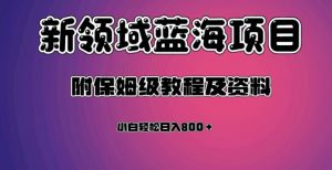 虚拟资源蓝海领域新项目，轻松日入800＋，附保姆级教程及资料-稀缺资源库