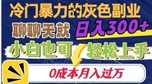 冷门暴利的副业项目，聊聊天就能日入300+，0成本月入过万【揭秘】-稀缺资源库