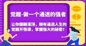 觉醒-做一个通透的强者,让你醍醐灌顶,拥有通透人生的觉醒开悟课,掌握强大的秘密!-稀缺资源库