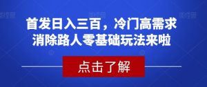 首发日入三百，冷门高需求消除路人零基础玩法来啦【揭秘】-稀缺资源库