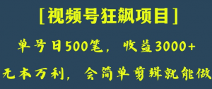 日收款500笔，纯利润3000+，视频号狂飙项目，会简单剪辑就能做【揭秘】-稀缺资源库