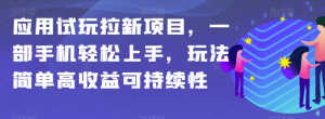 应用试玩拉新项目，一部手机轻松上手，玩法简单高收益可持续性【揭秘】-稀缺资源库