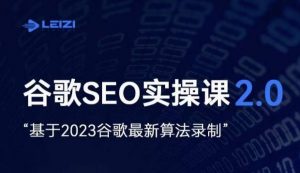 雷子·谷歌SEO 2.0实战课,独立站询盘自由必备,基于2023谷歌最新算法录制-稀缺资源库