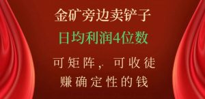 金矿旁边卖铲子，赚确定性的钱，可矩阵，可收徒，日均利润4位数【揭秘】-稀缺资源库